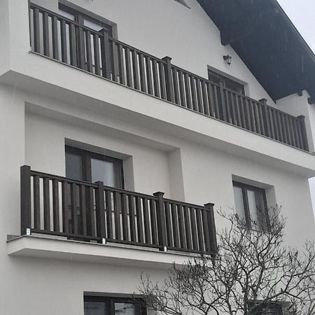 Casa Carmen Ξενοδοχείο Poienile Izei Εξωτερικό φωτογραφία