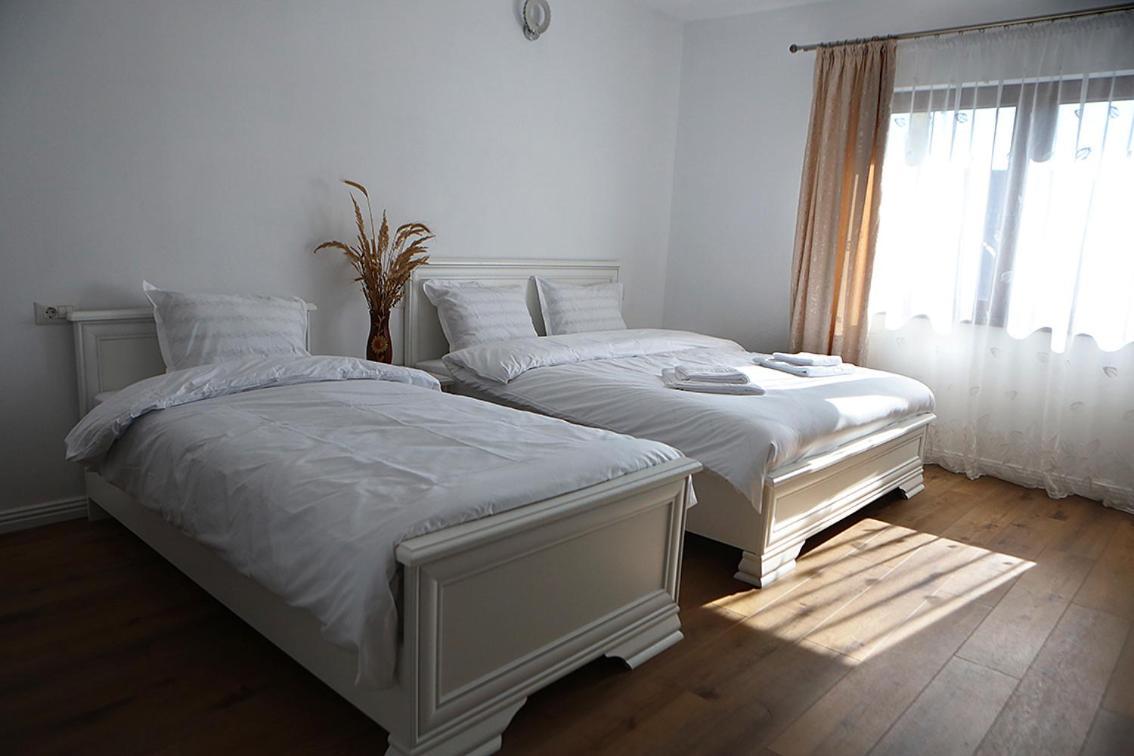 Casa Carmen Ξενοδοχείο Poienile Izei Εξωτερικό φωτογραφία